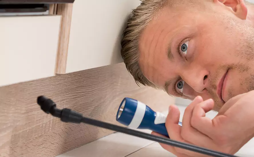 Top-Notch Pest Control in Santa Monica