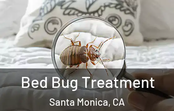  Bed Bug Treatment Santa Monica, CA