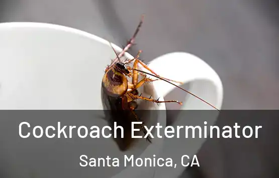  Cockroach Exterminator Santa Monica, CA
