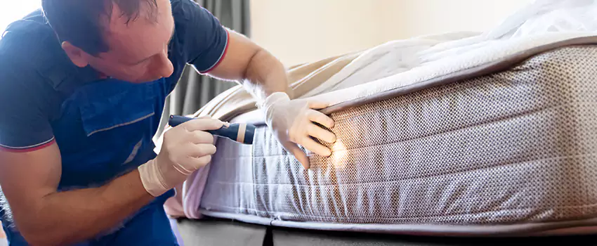 bed-bug-exterminator in Santa Monica, CA