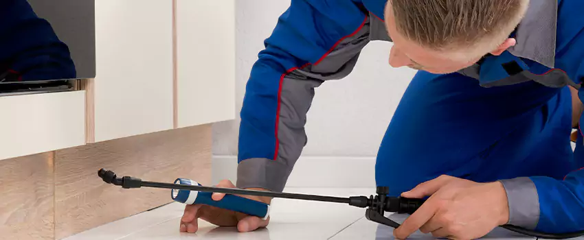 Ant Control for Bedrooms in Santa Monica, CA