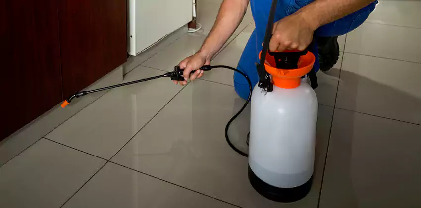 Commercial Pest Extermination for Offices in Santa Monica, CA