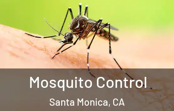  Mosquito Control Santa Monica, CA