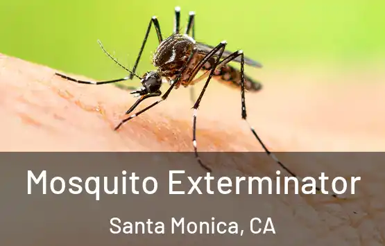  Mosquito Exterminator Santa Monica, CA