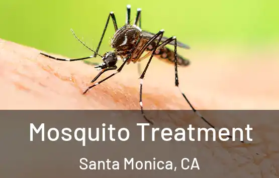  Mosquito Treatment Santa Monica, CA
