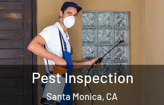  Pest Inspection Santa Monica, CA