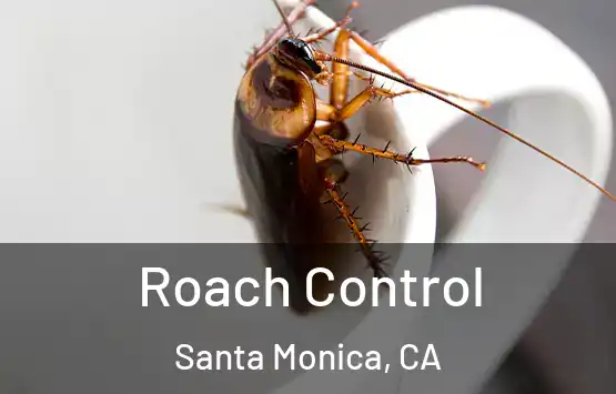  Roach Control Santa Monica, CA