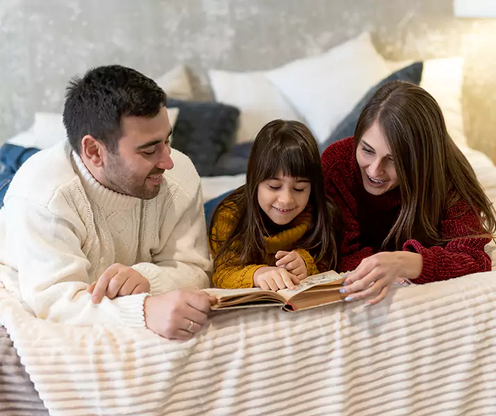 About Bed Bug Pest Control Santa Monica