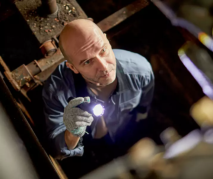 About Pest Inspection Santa Monica