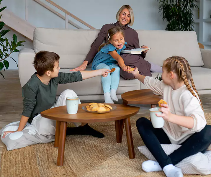 About Spider Exterminator Santa Monica